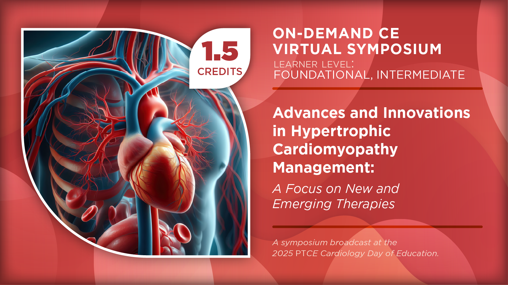 Advances and Innovations in Hypertrophic Cardiomyopathy Management: A Focus on New and Emerging Therapies