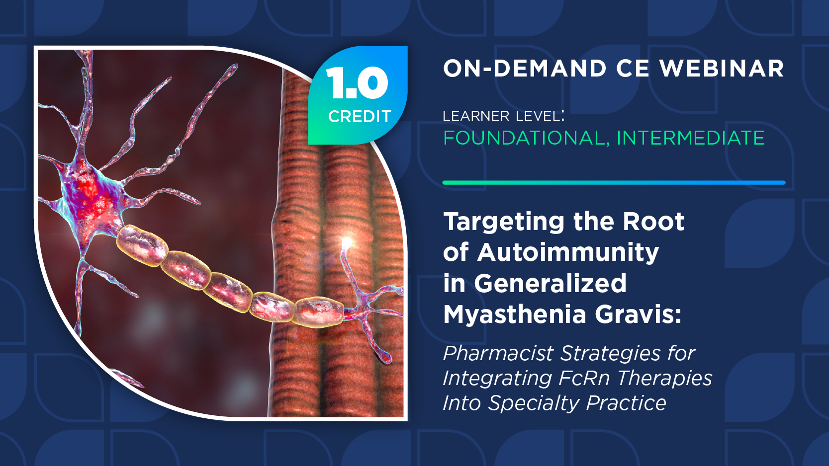 Targeting the Root of Autoimmunity in Generalized Myasthenia Gravis: Pharmacist Strategies for Integrating FcRn Therapies Into Specialty Practice