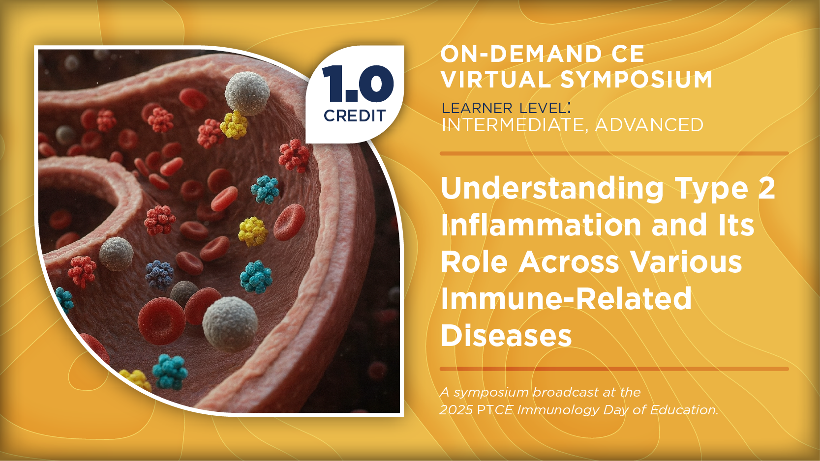 Understanding Type 2 Inflammation and Its Role Across Various Immune-Related Diseases