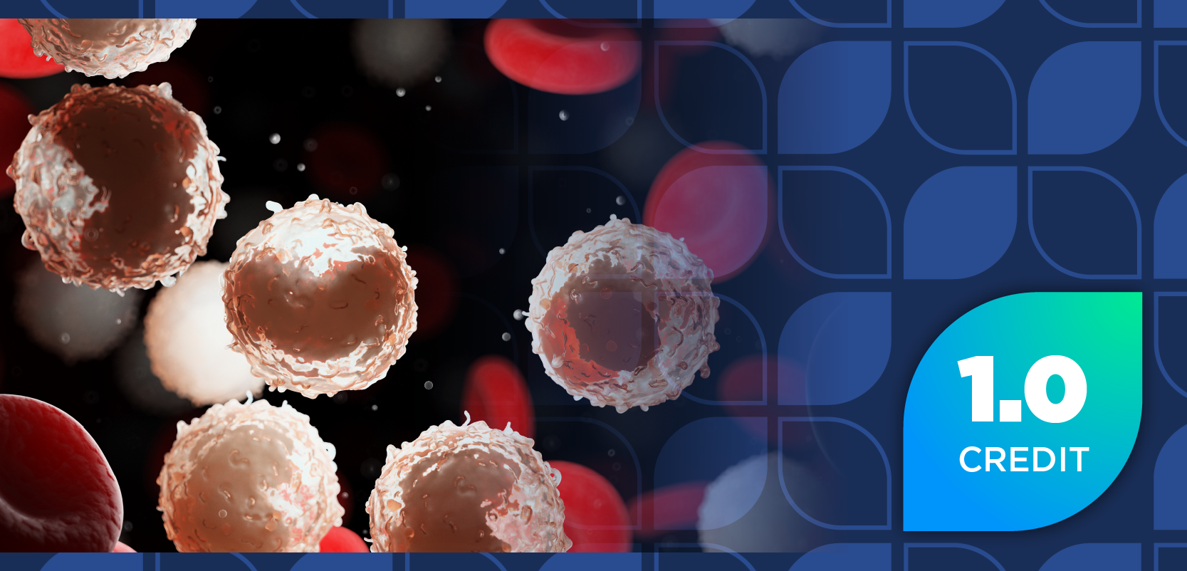 The Oncology Pharmacist’s Role in Managing Small Molecule Inhibitor Use in Chronic Lymphocytic Leukemia to Enhance Patient-Centered Care