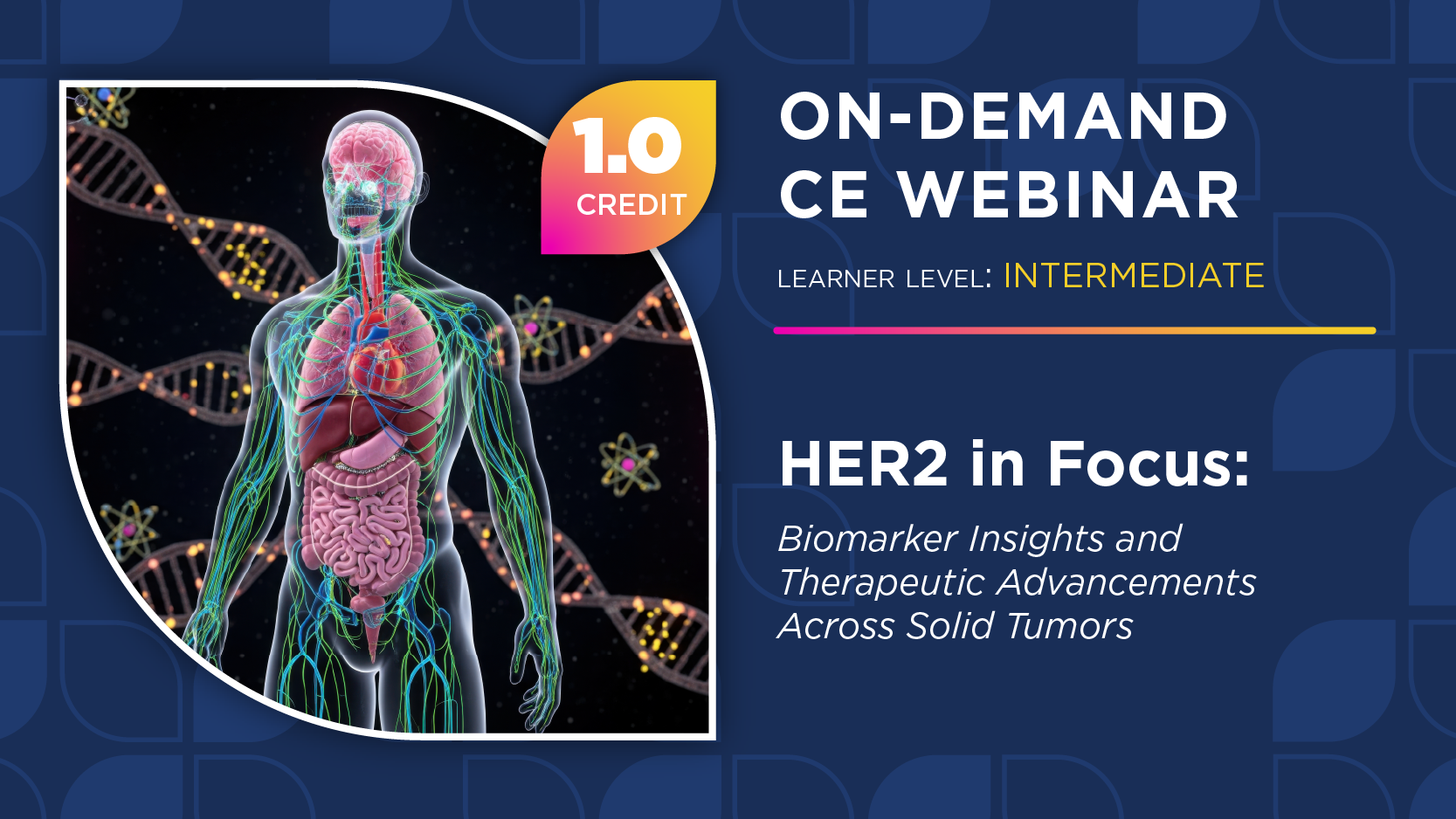 HER2 in Focus: Biomarker Insights and Therapeutic Advancements Across Solid Tumors
