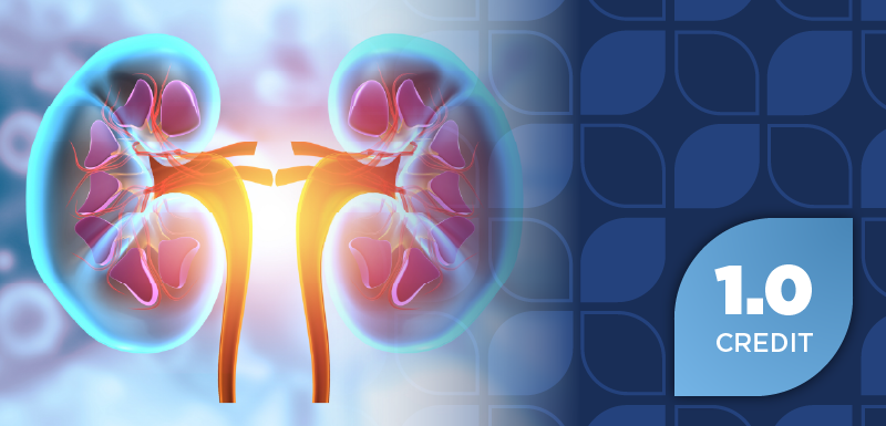 Evolving Care in IgA Nephropathy: Translating Emerging Evidence Into Care