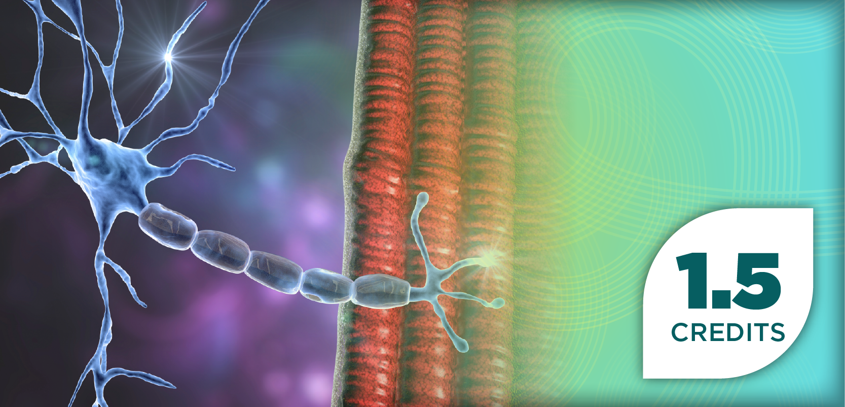 New Therapeutic Targets in the Treatment of Generalized Myasthenia Gravis: Understanding Disease Pathways and Pharmacist-Led Strategies for Optimized Care