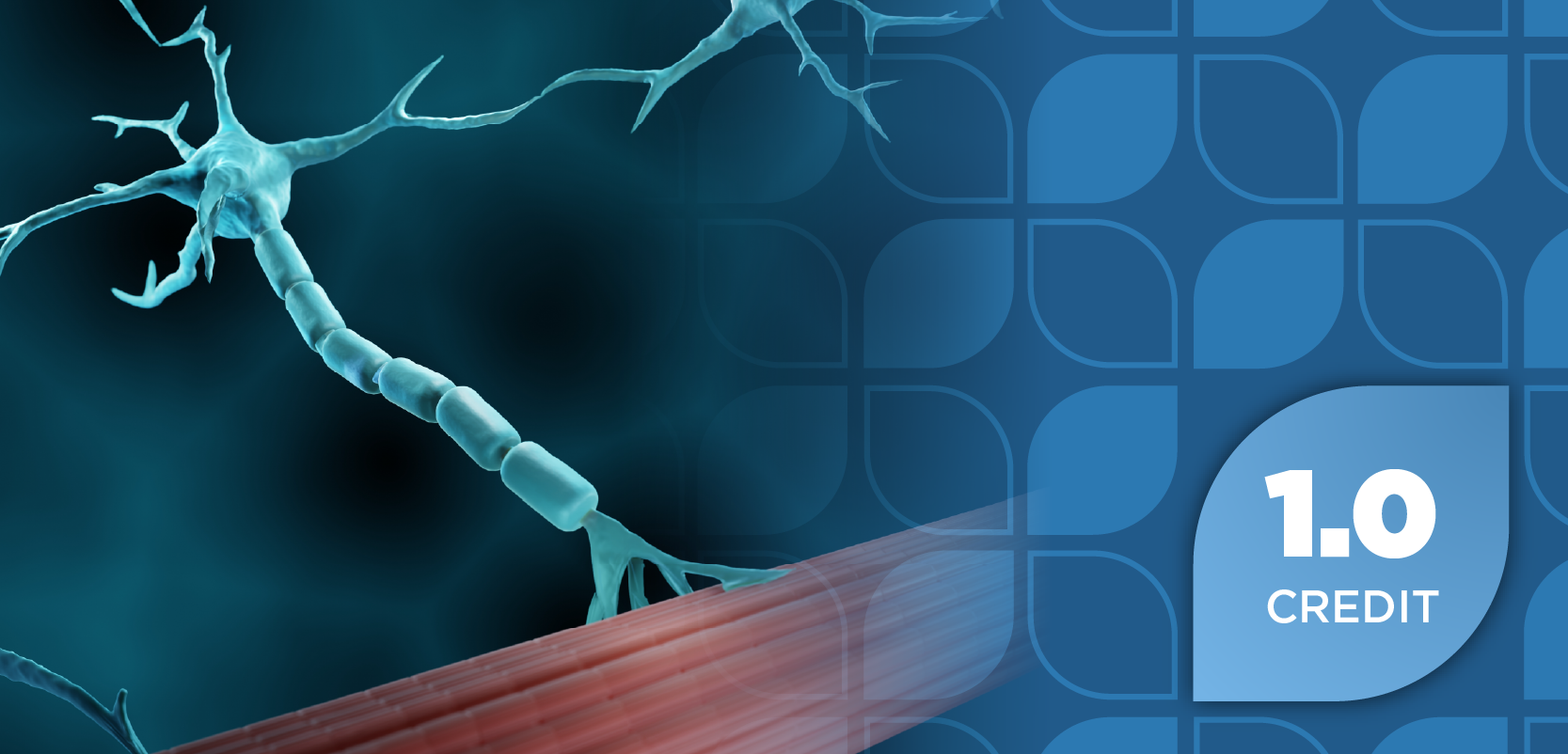 Optimizing Outcomes in Myasthenia Gravis: Therapeutic Advances and Value-Based Care Models