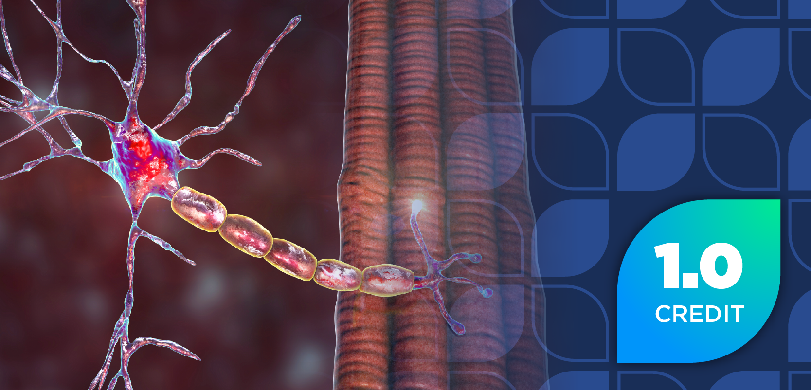 Targeting the Root of Autoimmunity in Generalized Myasthenia Gravis: Pharmacist Strategies for Integrating FcRn Therapies Into Specialty Practice