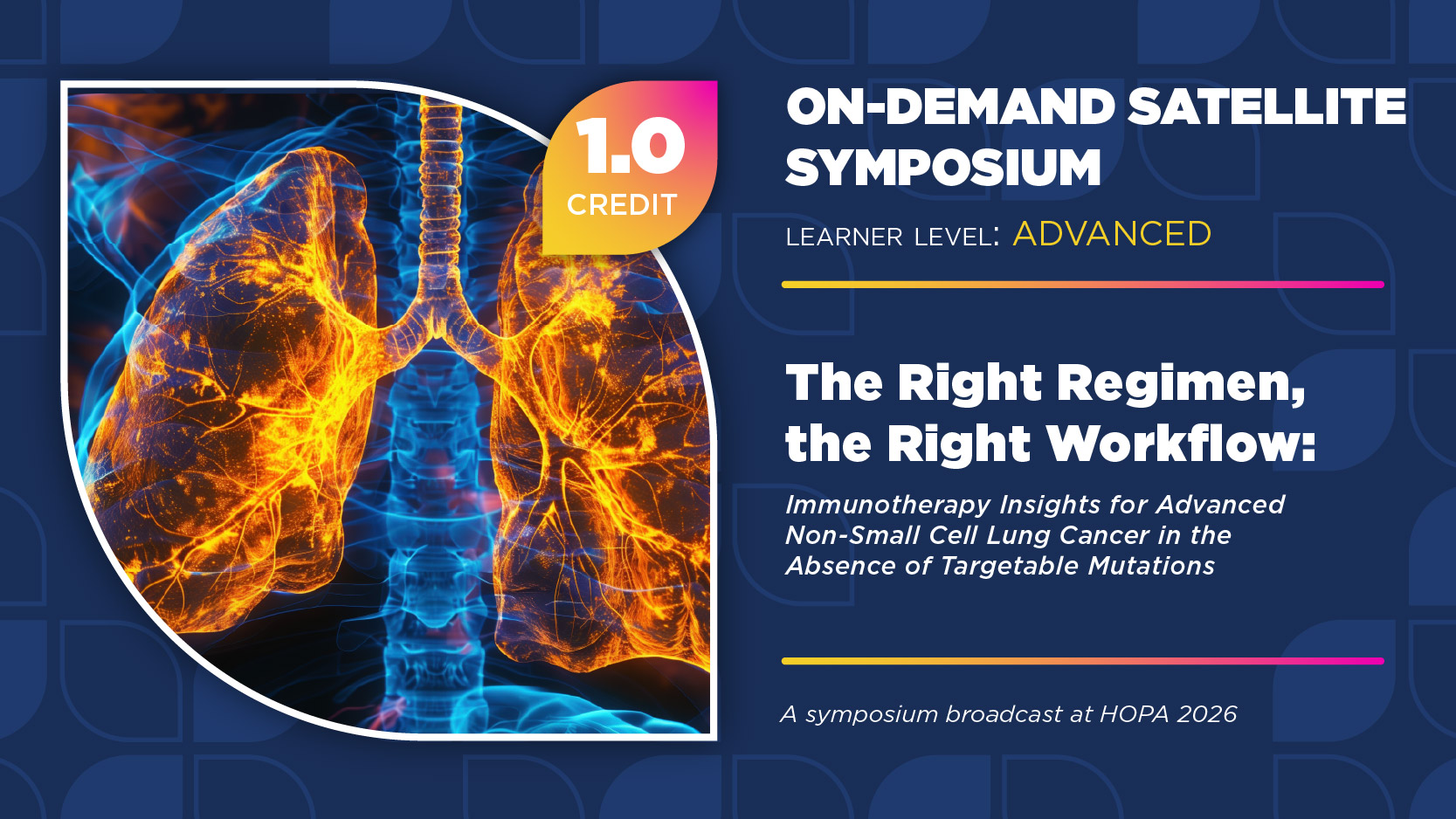 The Right Regimen, the Right Workflow: Immunotherapy Insights for Advanced Non-Small Cell Lung Cancer in the Absence of Targetable Mutations