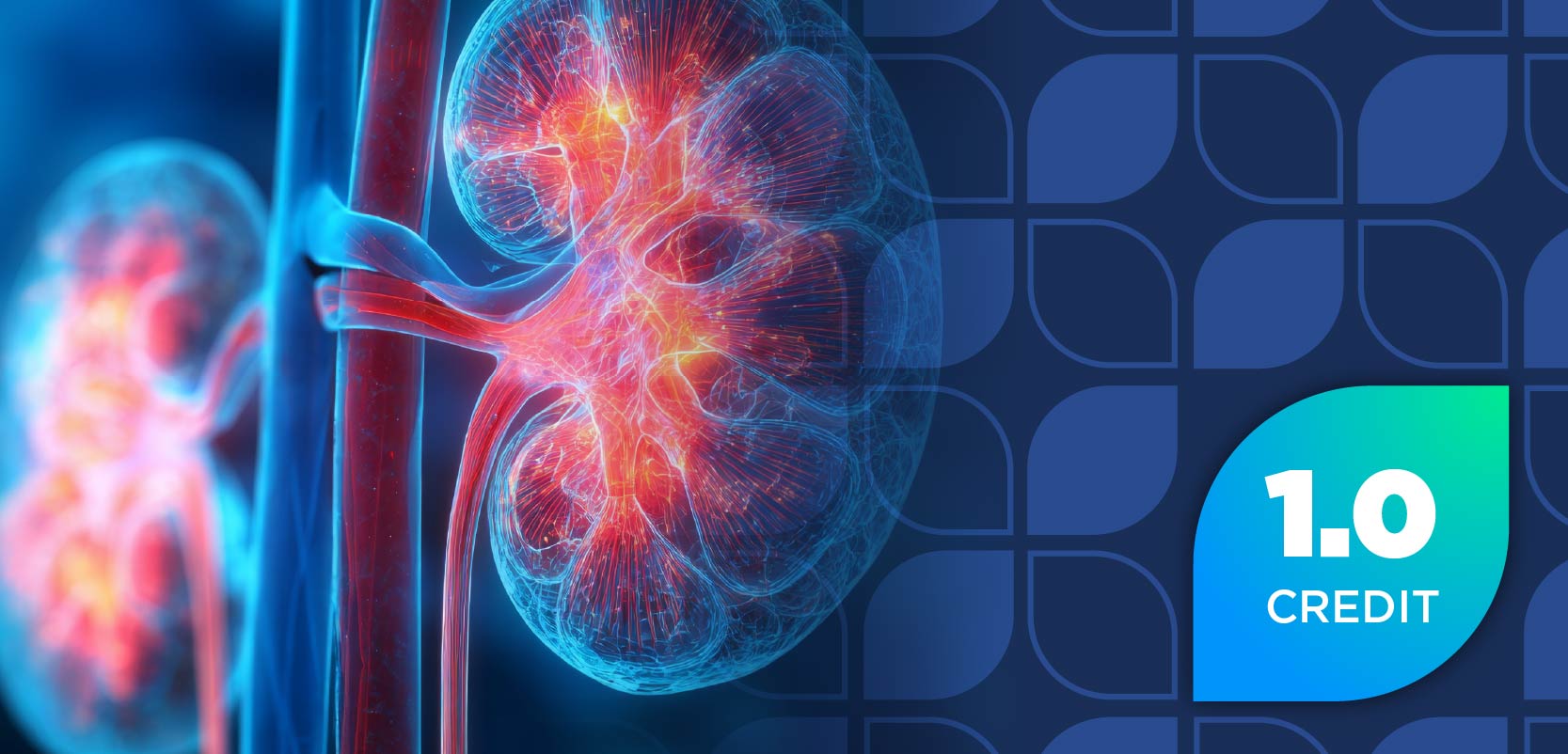 Translating KDIGO Updates and Clinical Evidence Into Managed Care Decision-Making in IgA Nephropathy