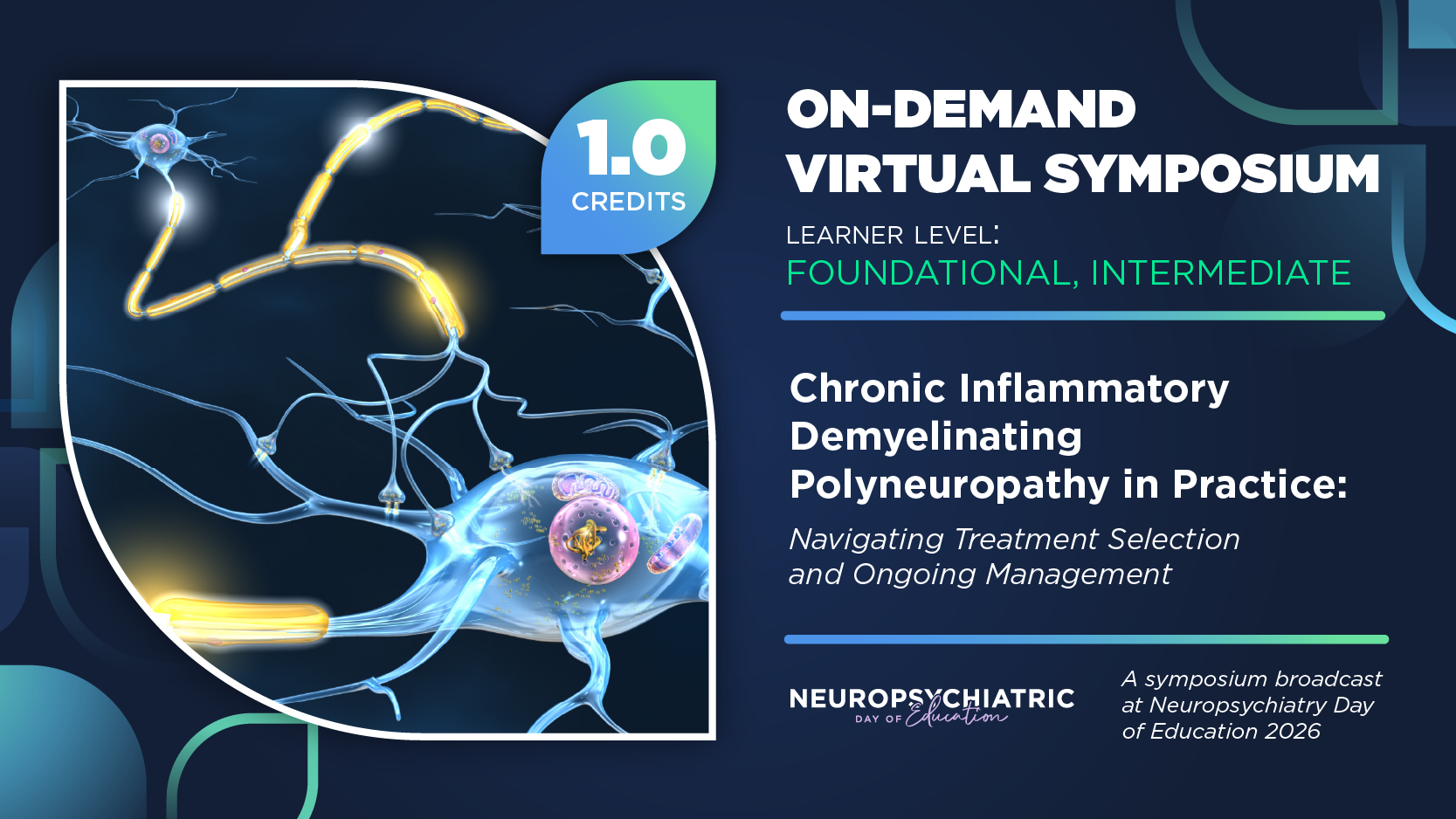 Chronic Inflammatory Demyelinating Polyneuropathy in Practice: Navigating Treatment Selection and Ongoing Management