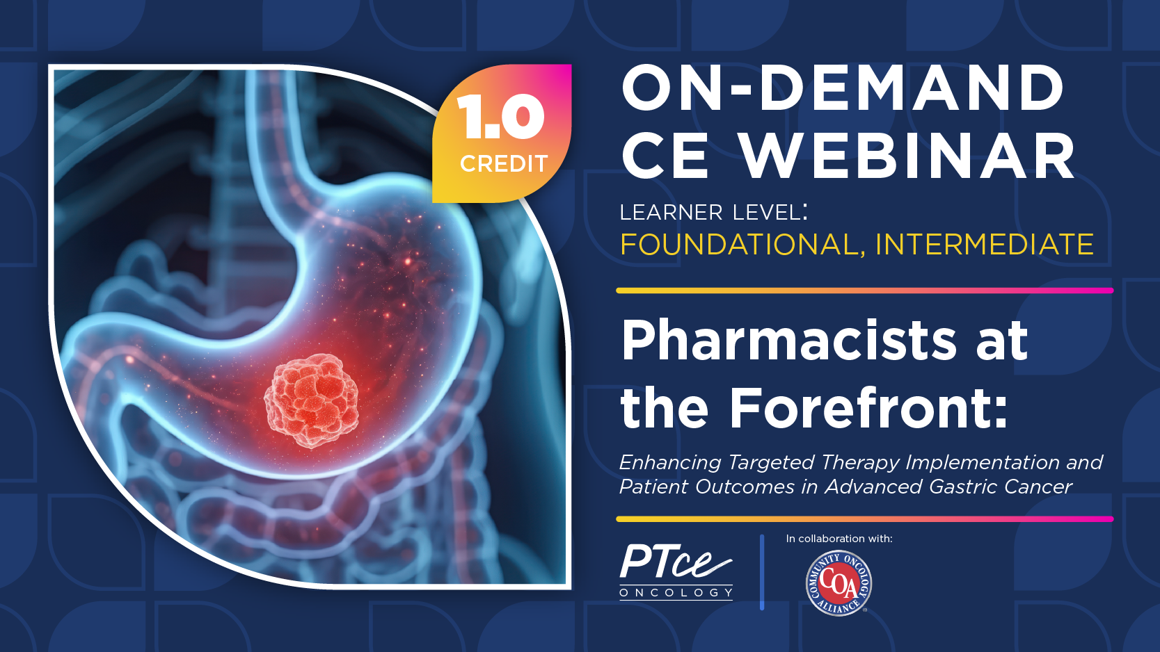 Pharmacists at the Forefront: Enhancing Targeted Therapy Implementation and Patient Outcomes in Advanced Gastric Cancer