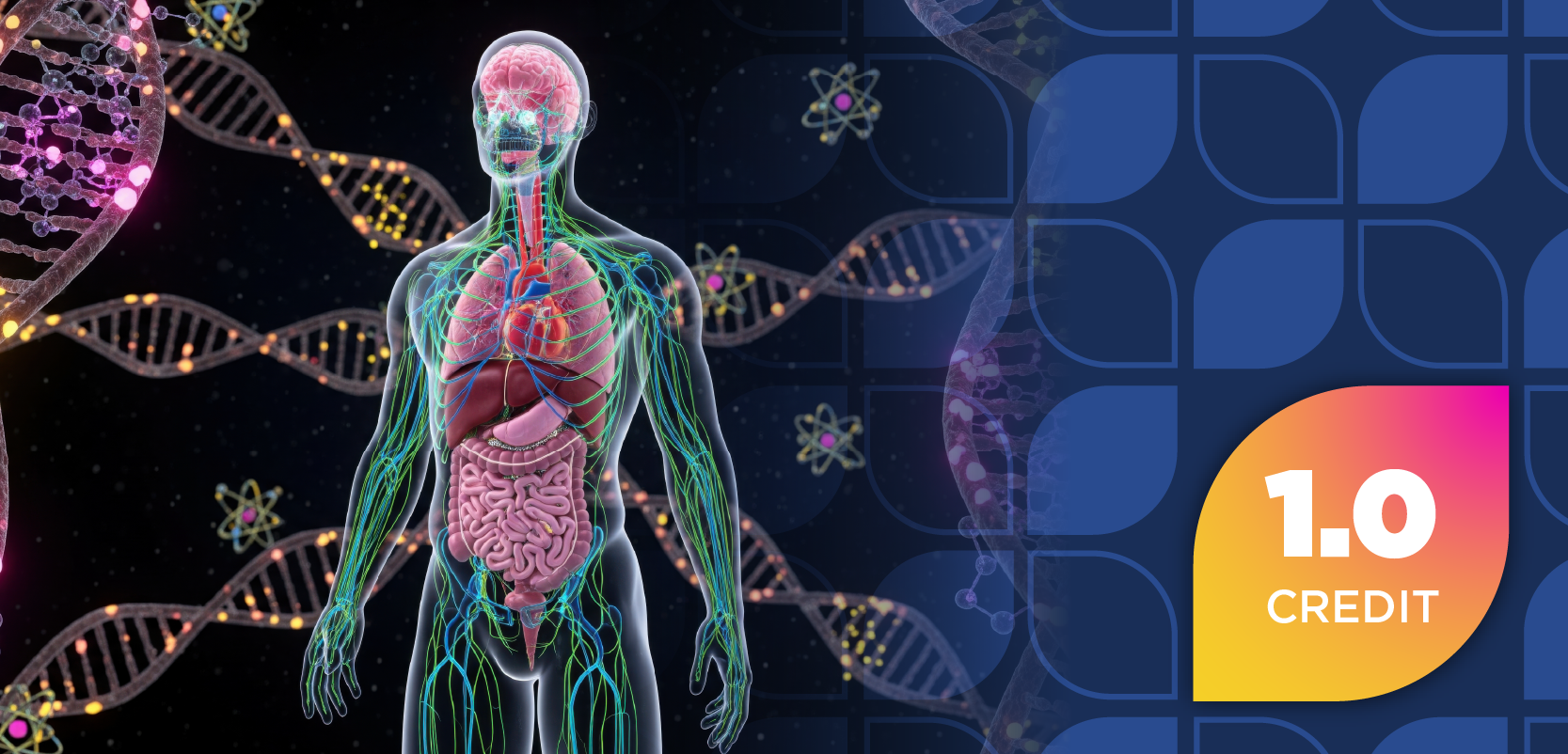 HER2 in Focus: Biomarker Insights and Therapeutic Advancements Across Solid Tumors