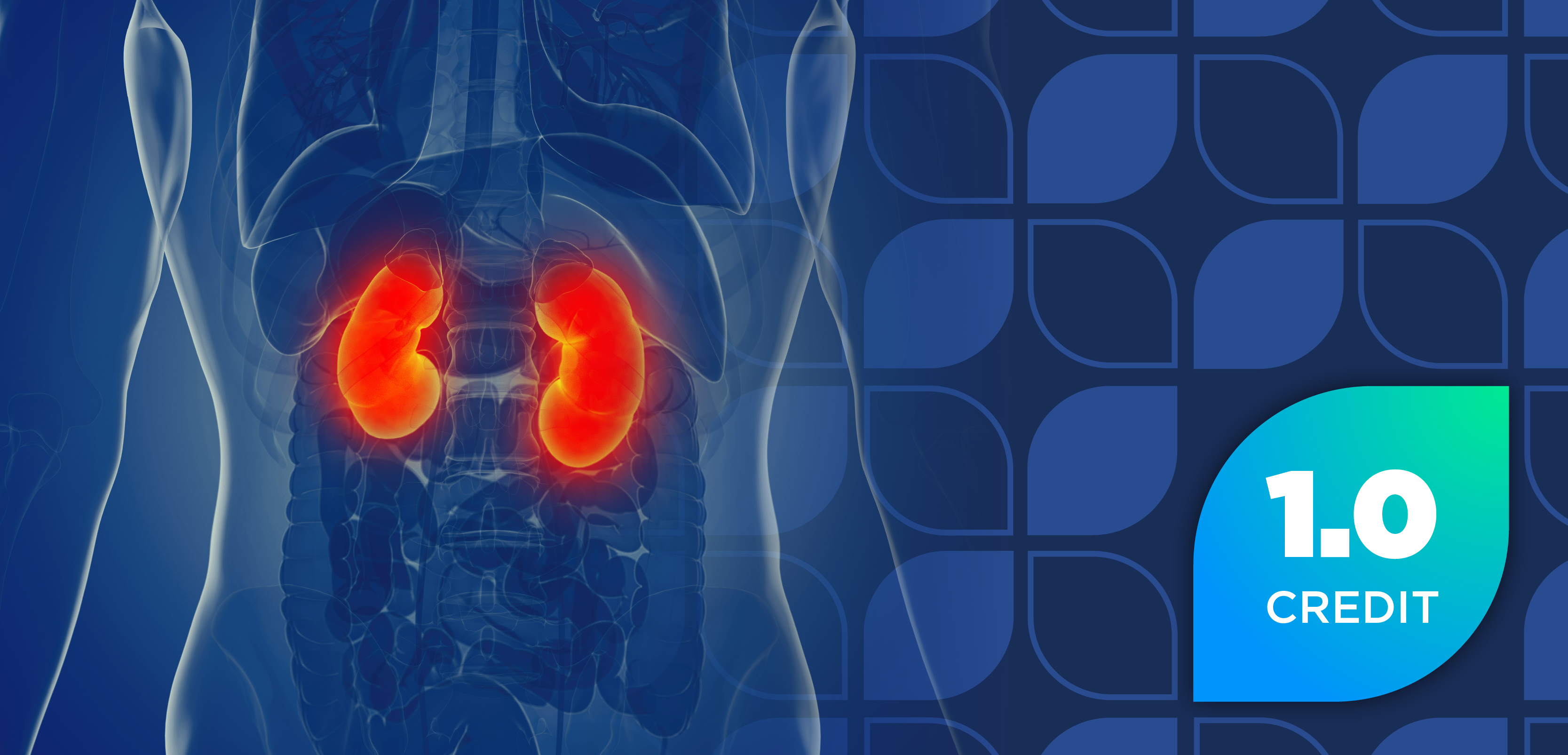 Advancing Chronic Kidney Disease Detection and Cardiovascular Risk Reduction in Complex Patients
