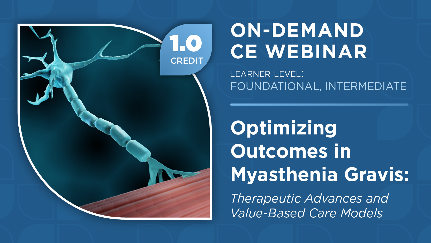 Optimizing Outcomes in Myasthenia Gravis: Therapeutic Advances and Value-Based Care Models