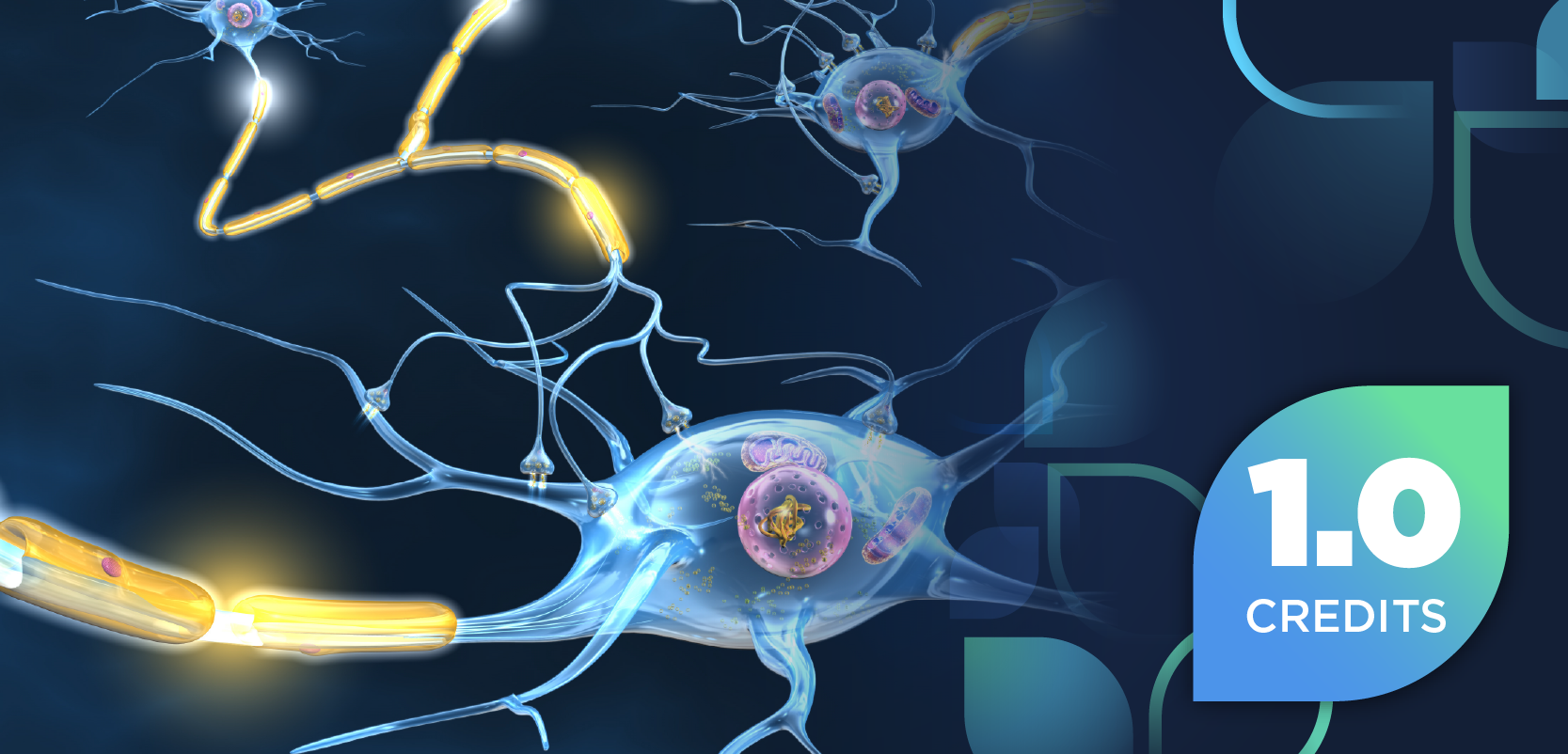 Chronic Inflammatory Demyelinating Polyneuropathy in Practice: Navigating Treatment Selection and Ongoing Management