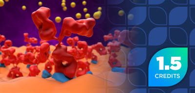Integrating Therapeutic Advances and Value-Based Models in Myasthenia Gravis Management