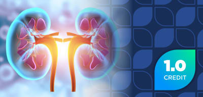 Evolving Care in IgA Nephropathy: Translating Emerging Evidence Into Care