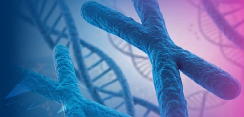 Cases and Conversations™: ADA-SCID Chronicles: A Journey From Screening to Successful Outcomes