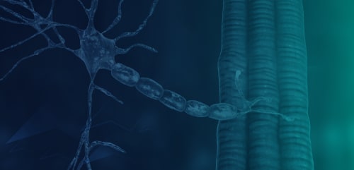 Addressing Unmet Needs for Patients With Spinal Muscular Atrophy—Understanding Patient Challenges and Management Approaches