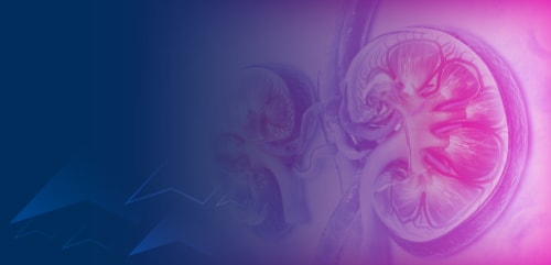 Lupus Nephritis Postgame: Takeaways from our Expert Faculty