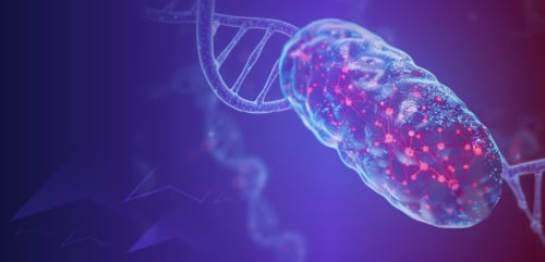 Increasing Awareness of Therapeutic Options for Thymidine Kinase 2 Deficiency (TK2d)