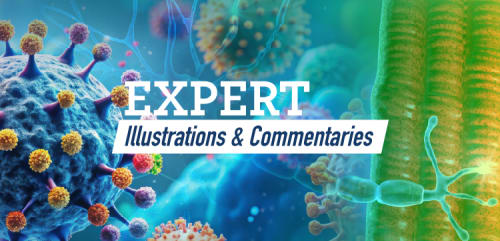 Expert Illustrations & Commentaries™: Visualizing the Role of B Cells as Therapeutic Targets for Generalized Myasthenia Gravis