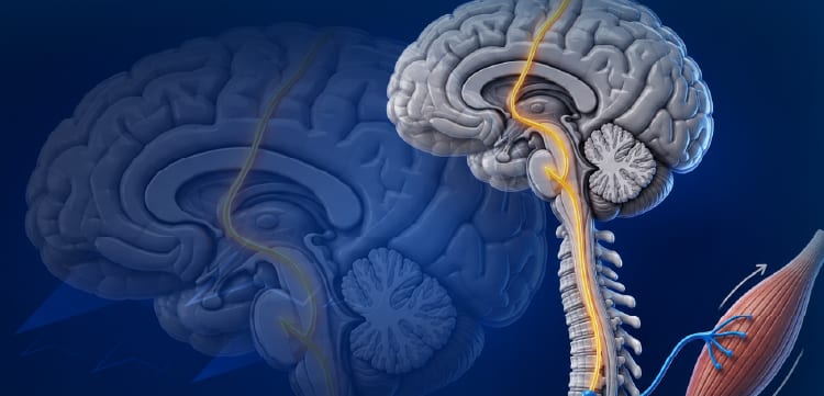 Best Practices in the Diagnosis and Treatment of Amyotrophic Lateral Sclerosis (ALS)